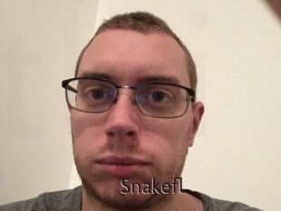 Snakefl