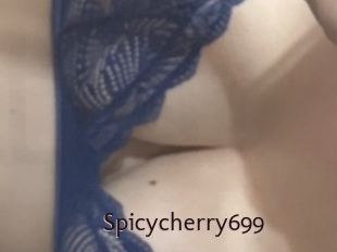 Spicycherry699