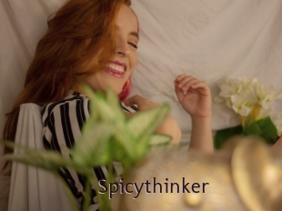 Spicythinker