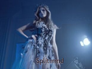 Splitmind