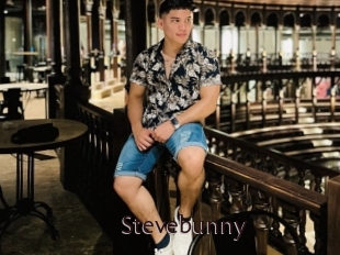 Stevebunny