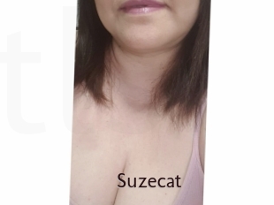 Suzecat