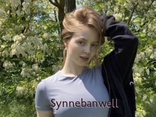 Synnebanwell