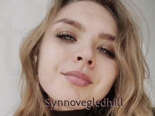 Synnovegledhill