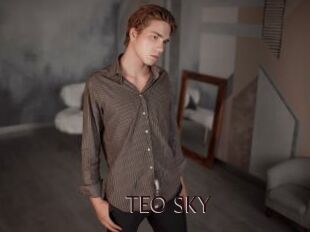 TEO_SKY