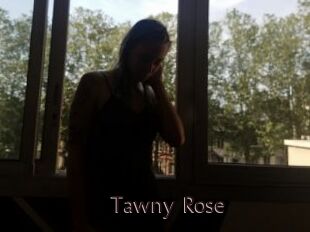 Tawny_Rose