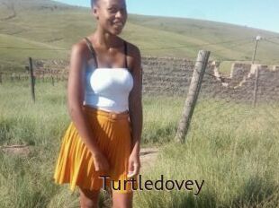 Turtledovey