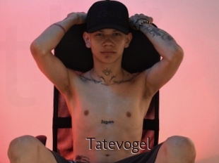 Tatevogel