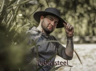 Teddysteel