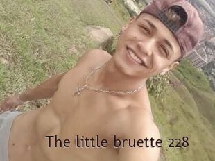 The_little_bruette_228