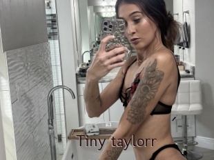 Tiny_taylorr