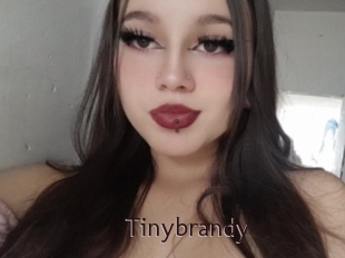 Tinybrandy