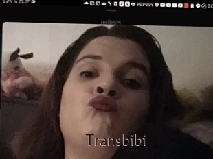 Transbibi