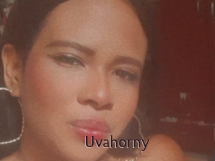Uvahorny