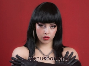 VenusBortone