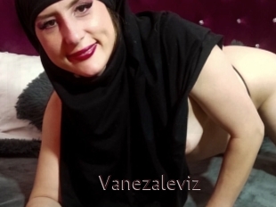 Vanezaleviz