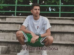 Velamikbarbosa