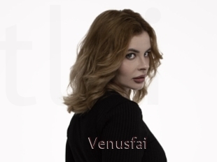Venusfai