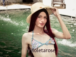 Viioletarose