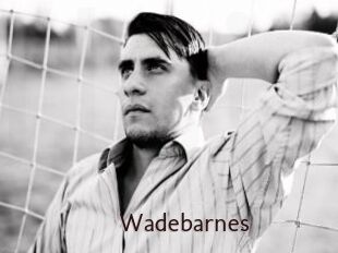 Wadebarnes