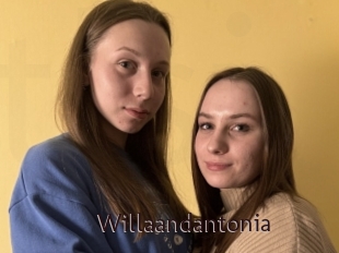 Willaandantonia