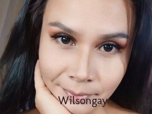 Wilsongay