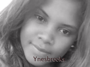 Ynesbrooks