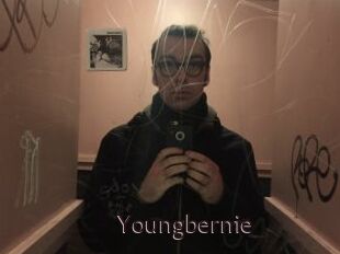 Youngbernie