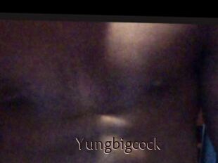 Yungbigcock