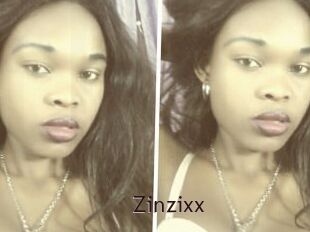 Zinzixx