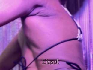 Ziasol